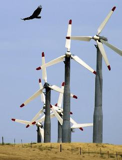 Look Out!!!   Ahh a gentle breeze, I think I will flap my wings over there to cool my beak.   Kaplat!   An AP Photo.  